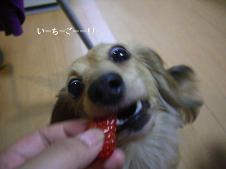 3f120369.JPG