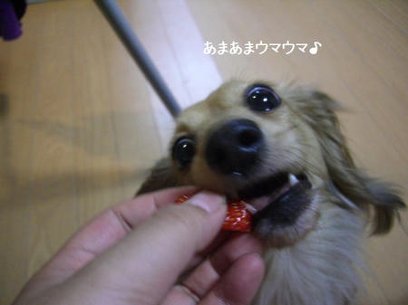 0ba915ff.JPG