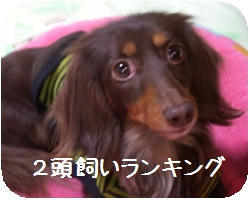 CIMG7744.JPG