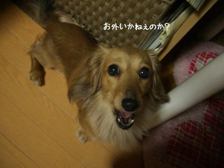 CIMG7807.JPG