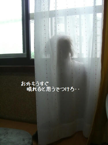 27504fe9.JPG