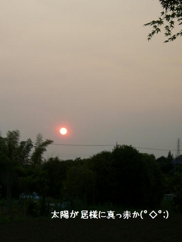 6e77a8d7.JPG