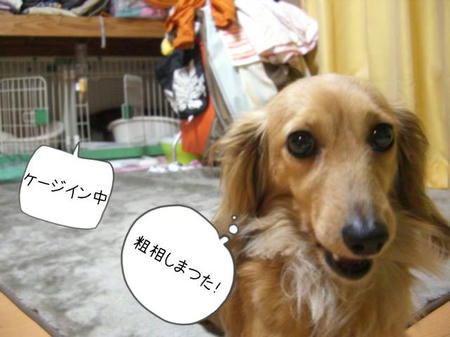 9a8f1087.JPG
