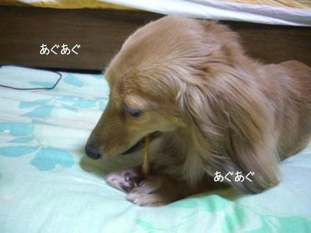 6748071f.JPG
