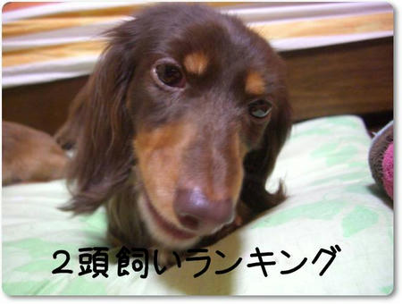 CIMG8224.JPG