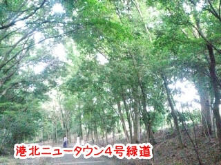 CA3C00040001.jpg