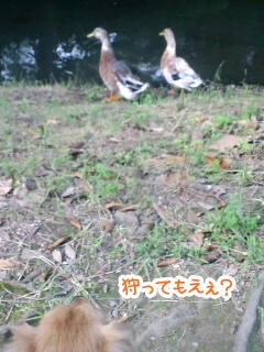 CA3C00150001.jpg