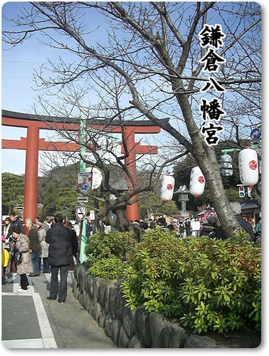 CIMG9130.JPG