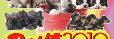 pet_makuhari_top_02.jpg