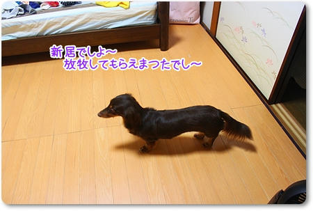 0f615c3c.jpg