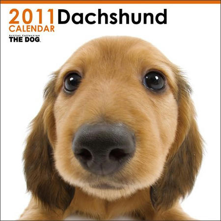 2011dackscalendar.jpg