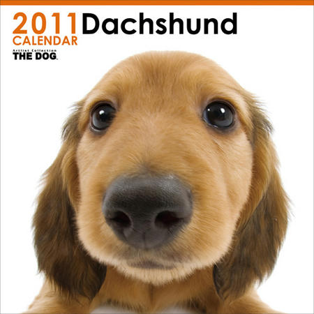 2011dax.jpg