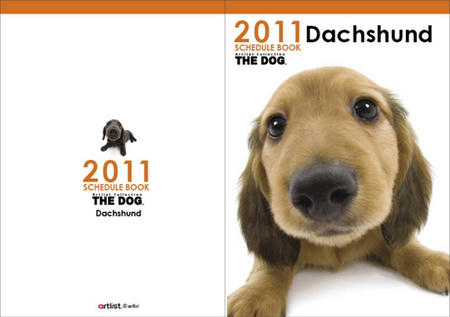 2011dax-dialy2.jpg