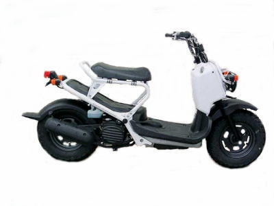 zoomer.jpg