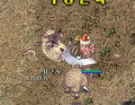 ro-010.JPG