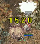 ee2495b4.JPG