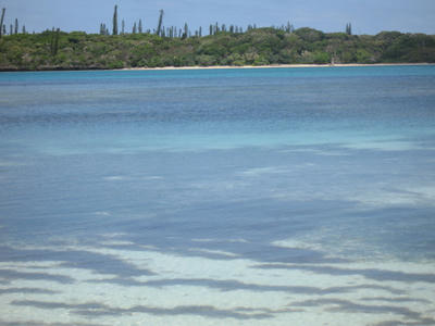 IMG_5631.JPG