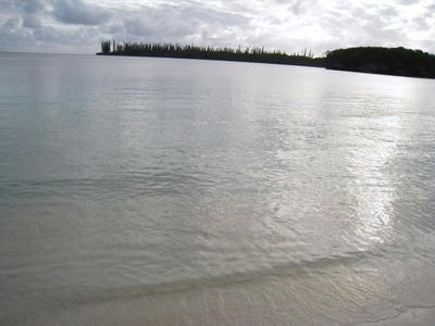 IMG_5596.JPG