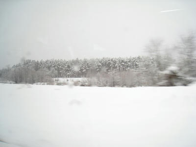 IMG_6508.JPG
