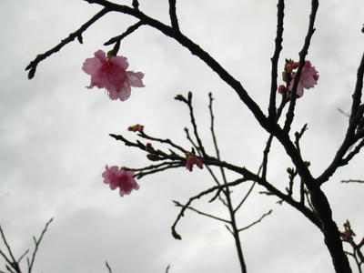 IMG_6875.JPG