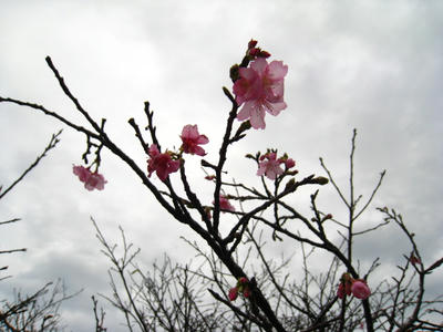 IMG_6870.JPG