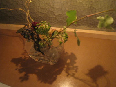IMG_7411.JPG