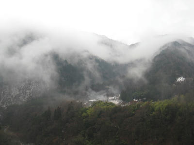 IMG_7446.JPG