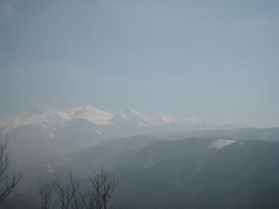 IMG_7499.JPG