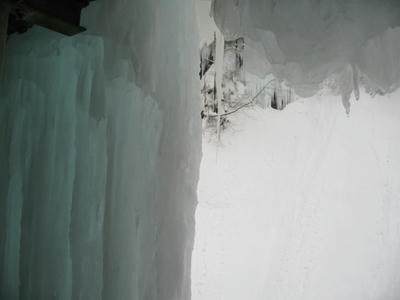 IMG_7442.JPG