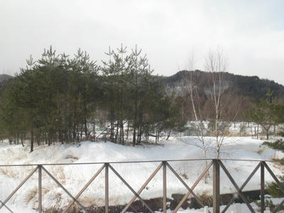 IMG_7447.JPG