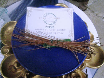 IMG_8157.JPG
