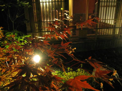 IMG_0598.JPG