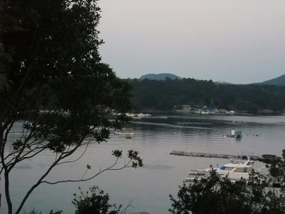 DSCF4376.JPG