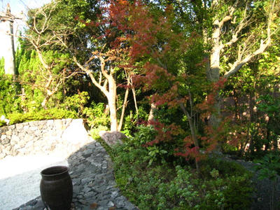 IMG_0638.JPG