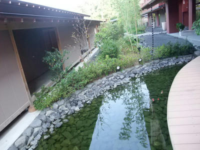 DSCF4382.JPG