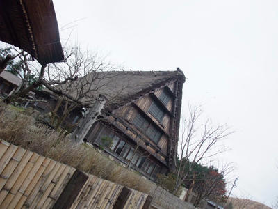 DSCF6086.JPG