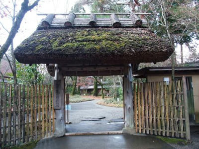 DSCF4949.JPG