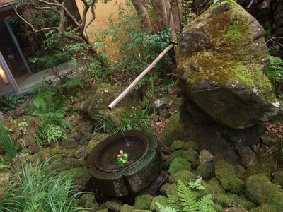 DSCF6324.JPG
