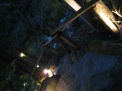 IMG_1116.JPG