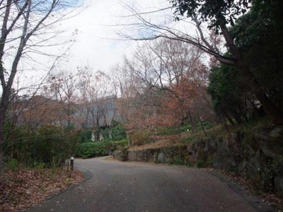 DSCF4955.JPG