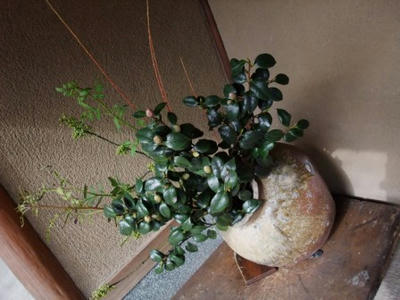 DSCF4958.JPG