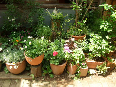 DSCF6881.JPG