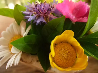 DSCF6898.JPG