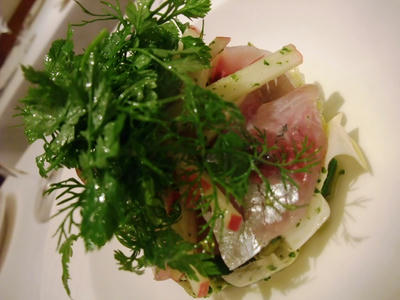 DSCF7370.jpg
