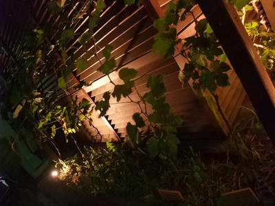 DSCF7458.jpg