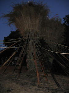 IMG_5689.JPG