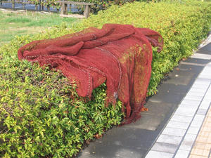 IMG_5811.JPG