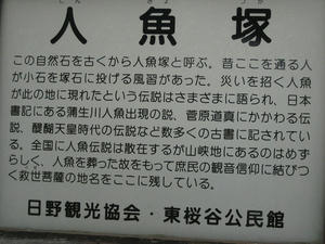 d50e620f.jpg