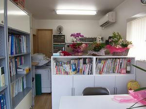 2009061501.jpg