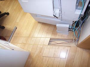 2009061505.jpg